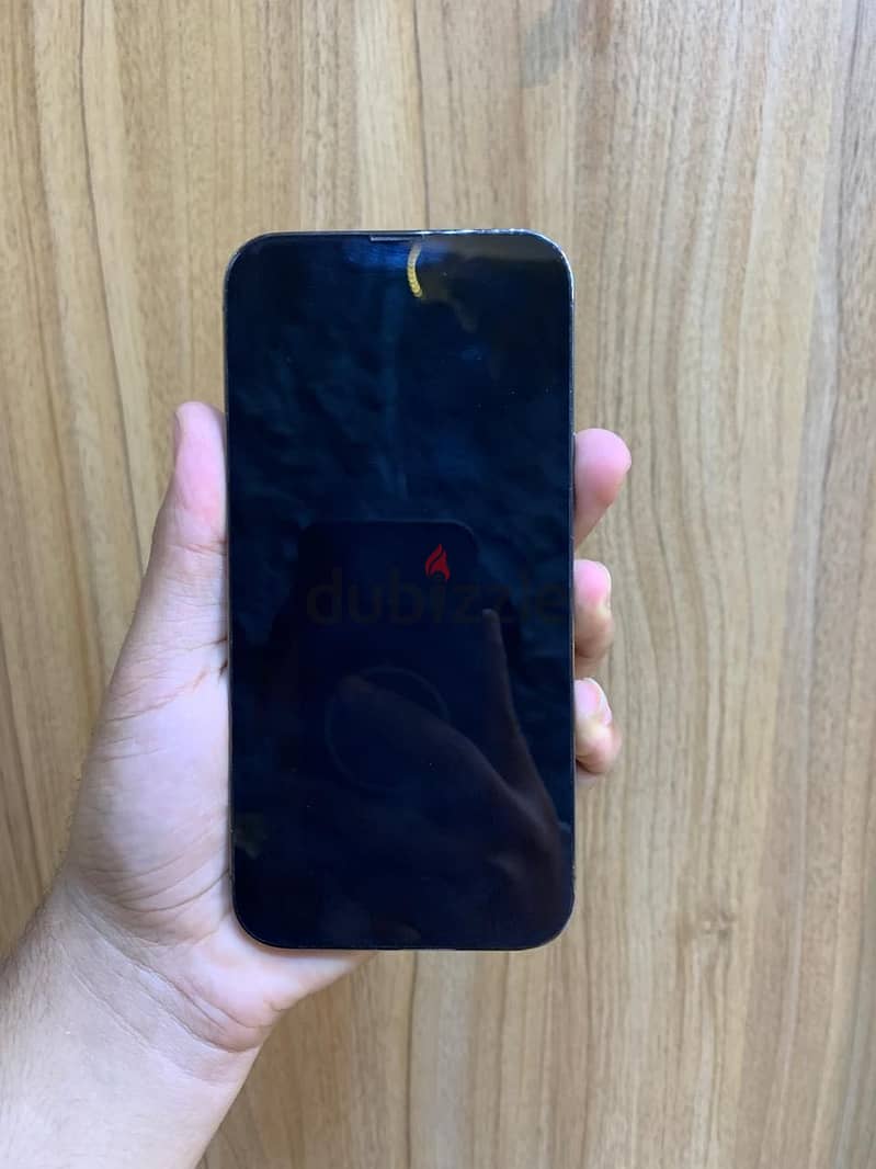Apple - iPhone 13 Pro Max 1