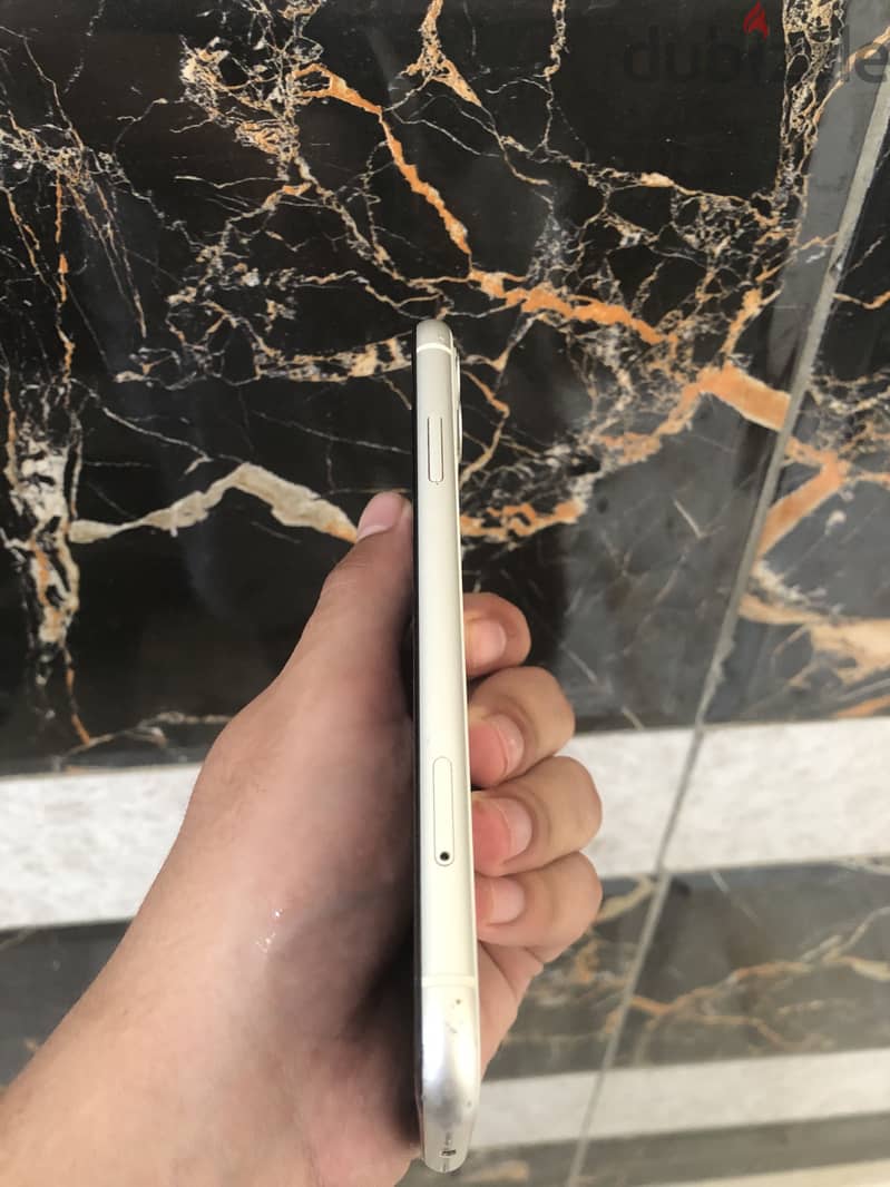 آبل - آيفون 11 4