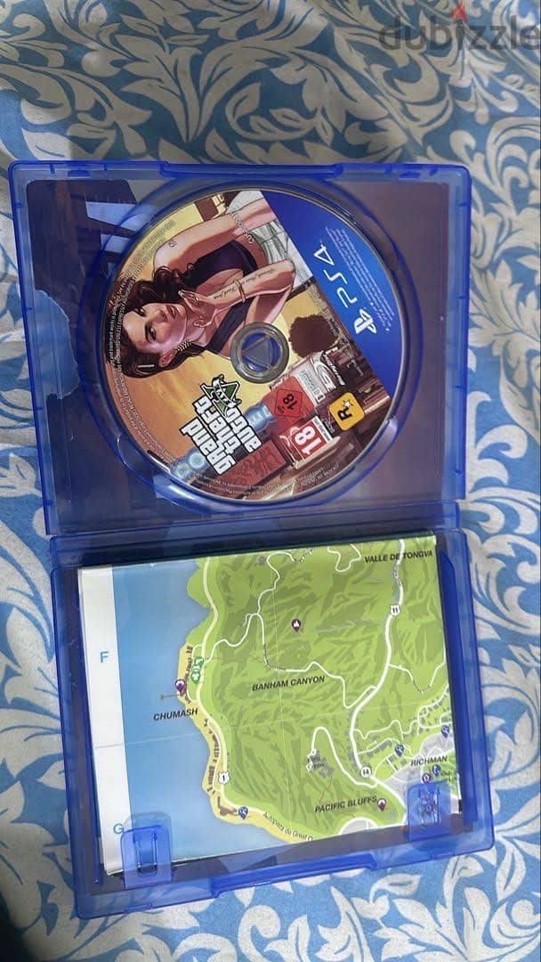 Grand theft auto 1