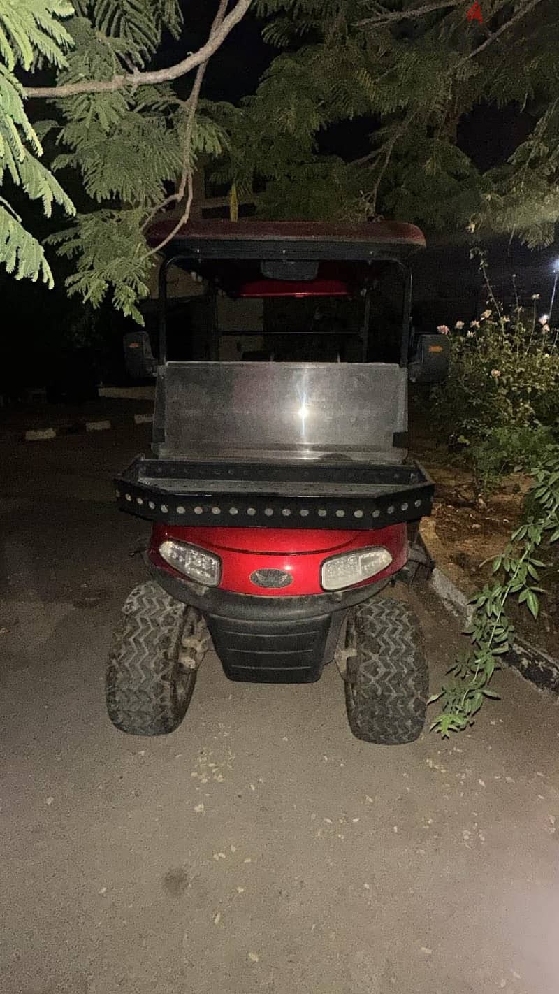 Raya 4 seats colf car 2