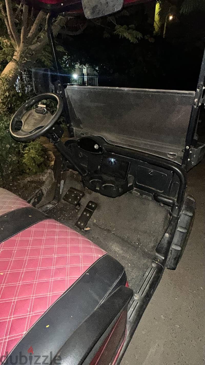 Raya 4 seats colf car 3