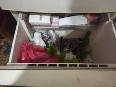 الرمايه مساكن الضباط