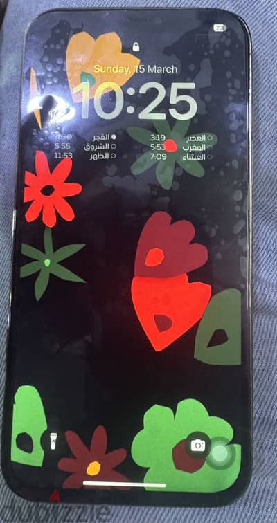 آبل - آيفون 12 برو ماكس