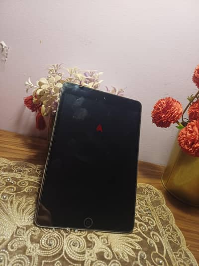 iPad mini
