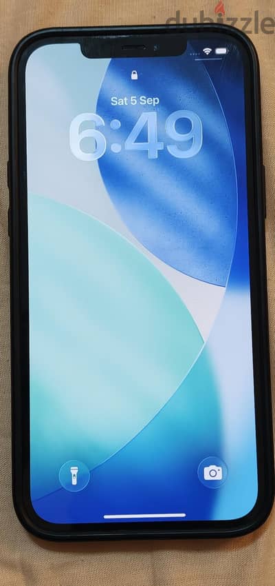 Apple - iPhone 12 Pro Max