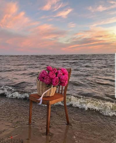 مصور photographer