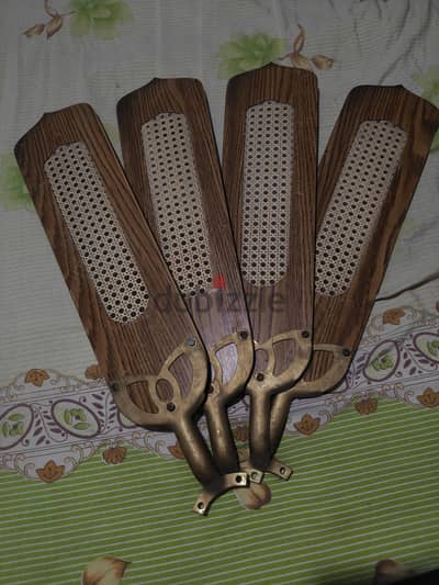 رشة مروحه فريش