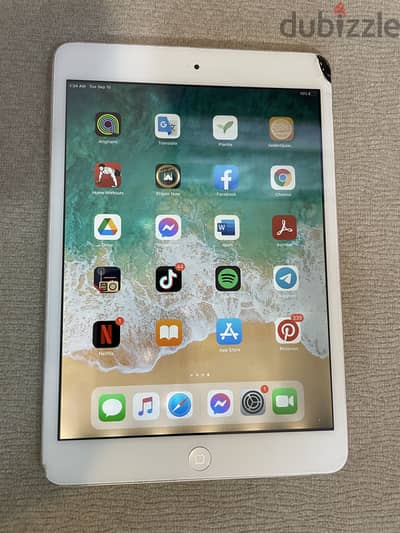iPad mini 2