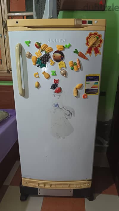 ديك فيريزر