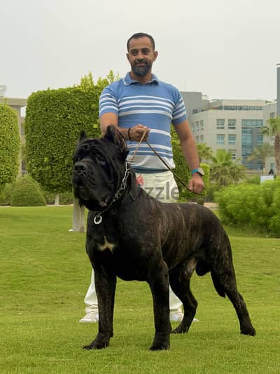 من افضل الدكره للجواز