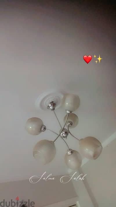 نجفه.