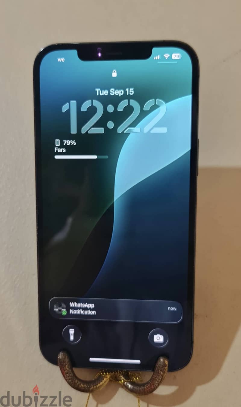12 pro max 1