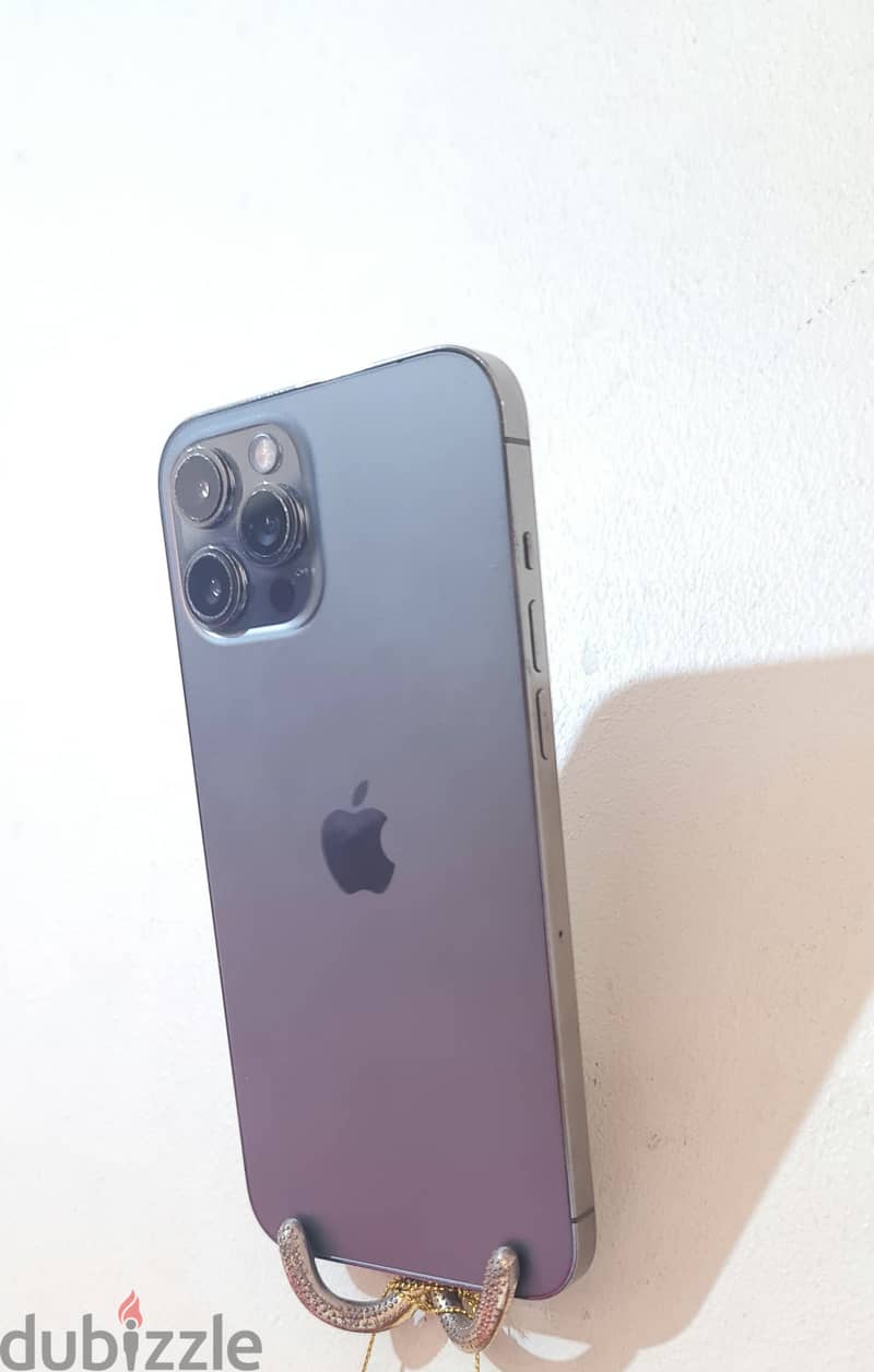 12 pro max 2