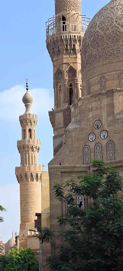 محمد علي 