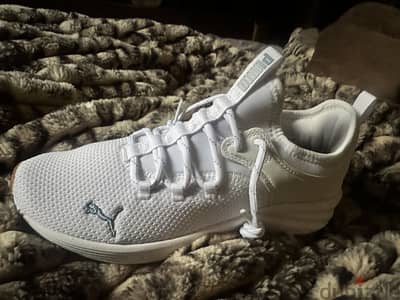 Shoes puma original
