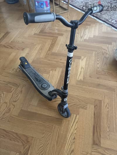 Electric scooter globber