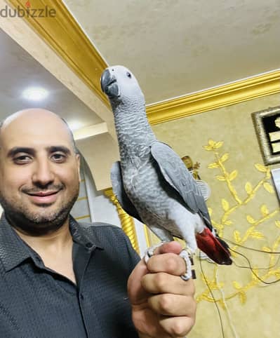 بسم الله مشاء الله حته زنجباري تفريخ مصري متكلم هادي جدا طيران حر