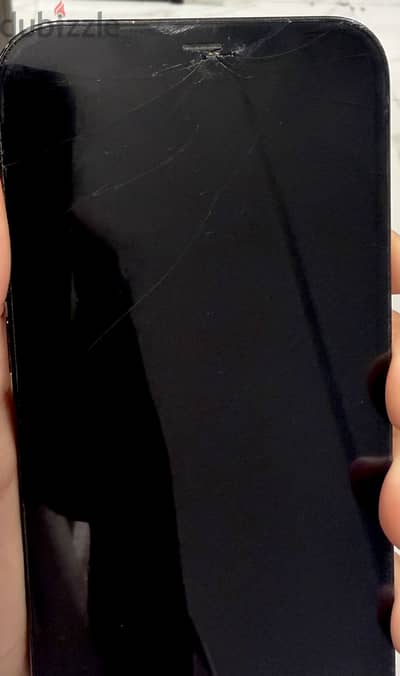 Apple - iPhone 12 Pro Max