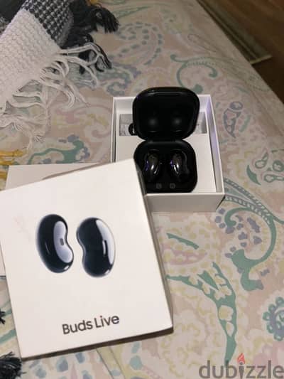 Buds live