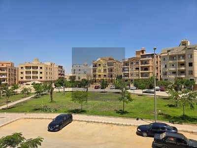 APARTMENT FOR SALE | SHEIKH ZAYED – 16TH DISTRICT 229 m² Apartment