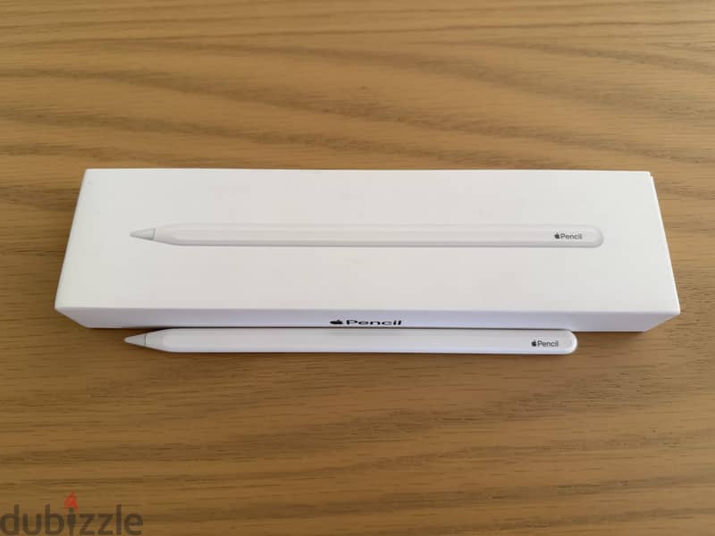 iPad Air 5th Generation + Apple Pencil 2nd Generation 4