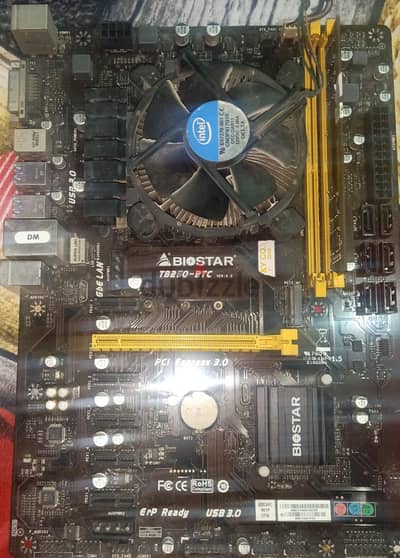 intelB250