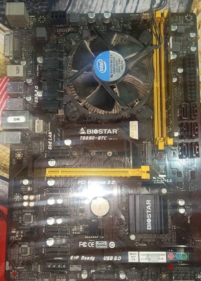 intelB250