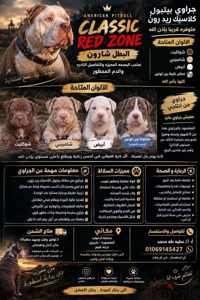 جراوي ببتبول كلاسيك