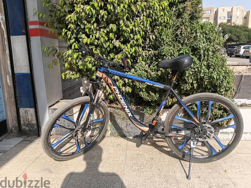 phoenix Bike 2
