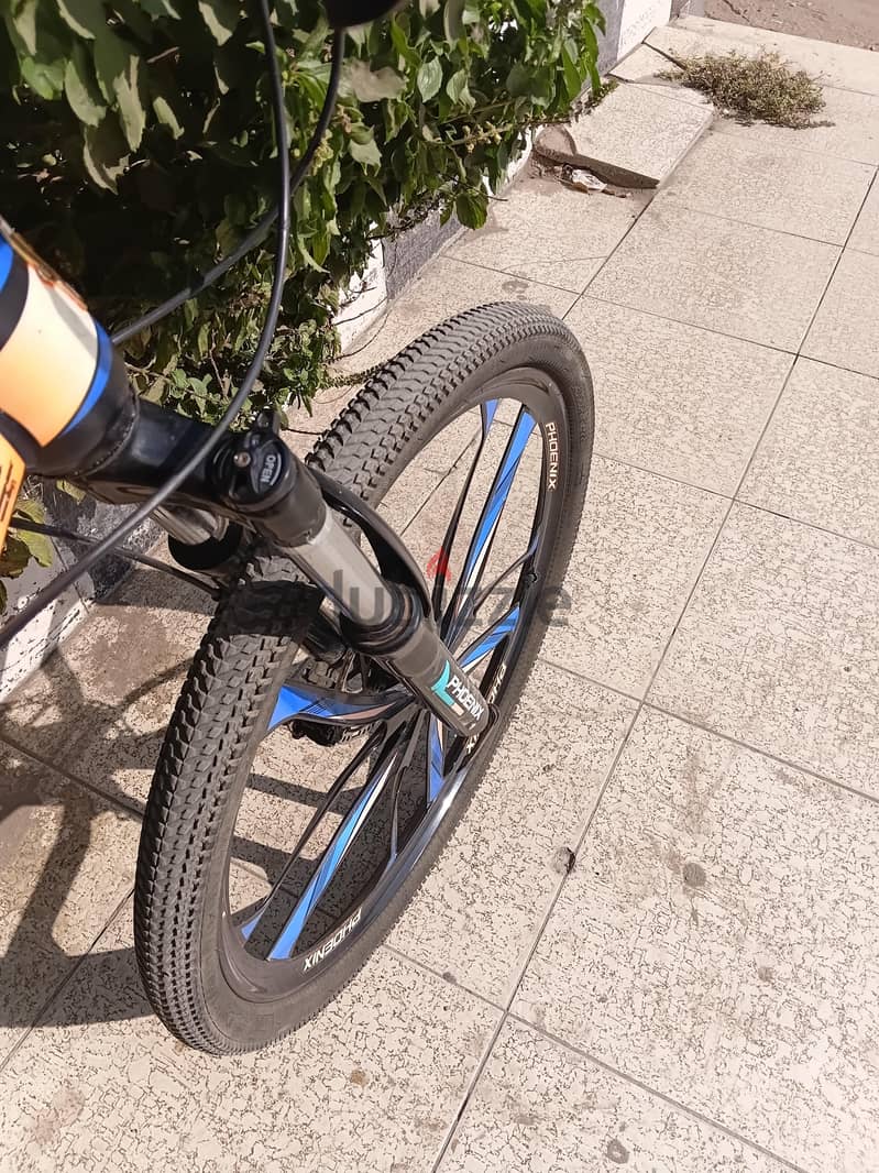 phoenix Bike 3