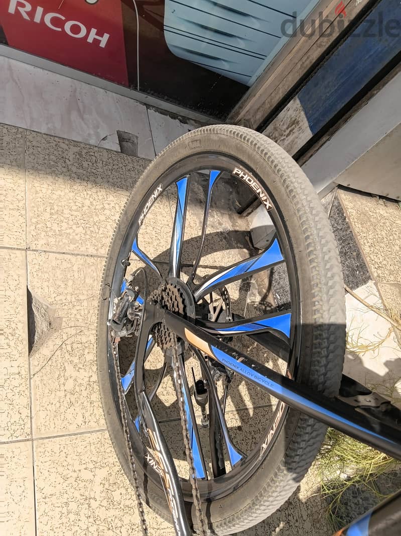 phoenix Bike 4