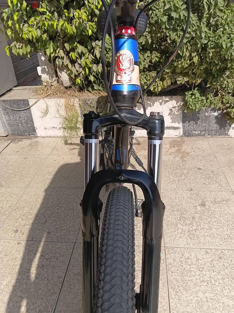 phoenix Bike 5