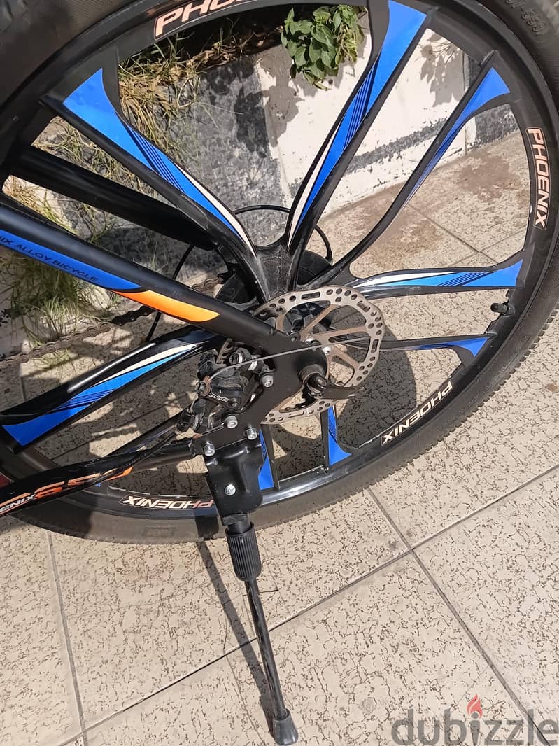 phoenix Bike 6
