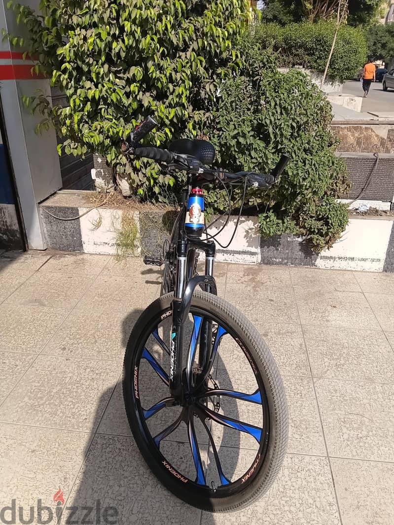 phoenix Bike 7