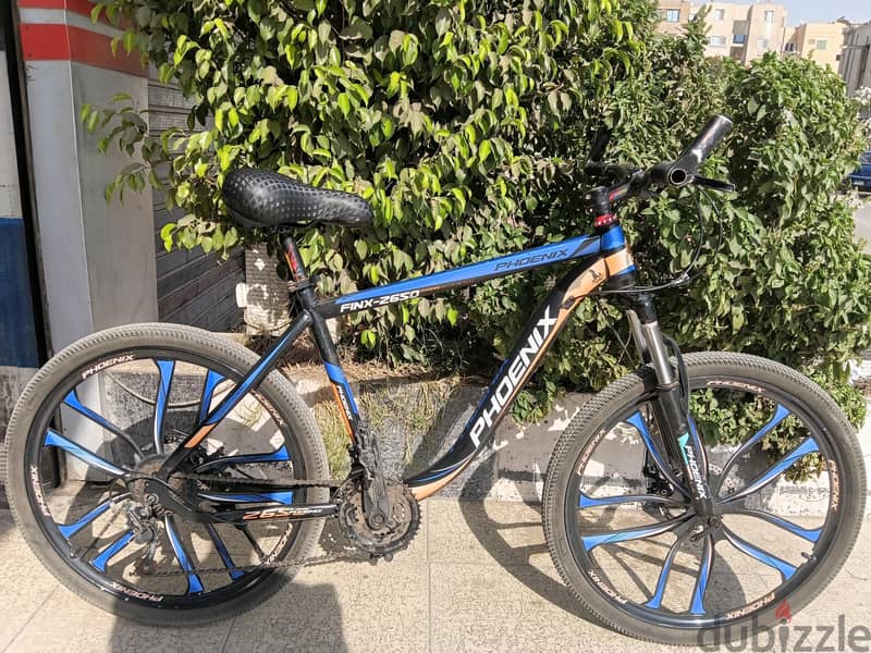 phoenix Bike 8