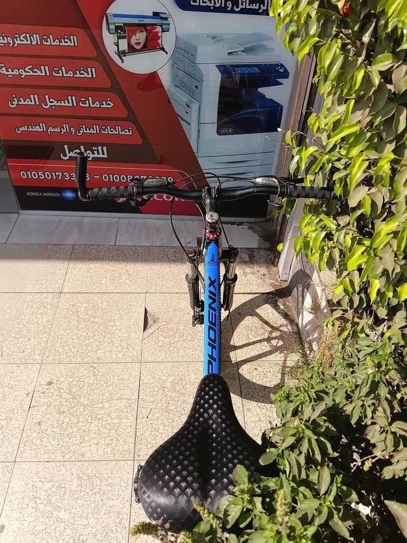 phoenix Bike 9