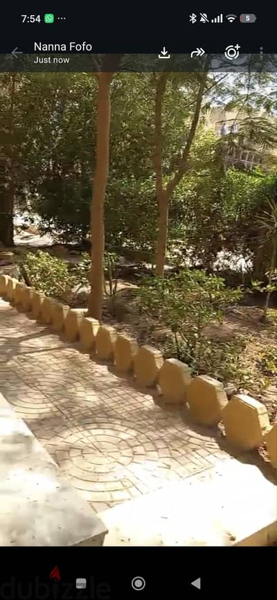 شقة ايجار جديد