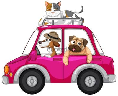Pet Delivery - The Cheapest That You Could Get