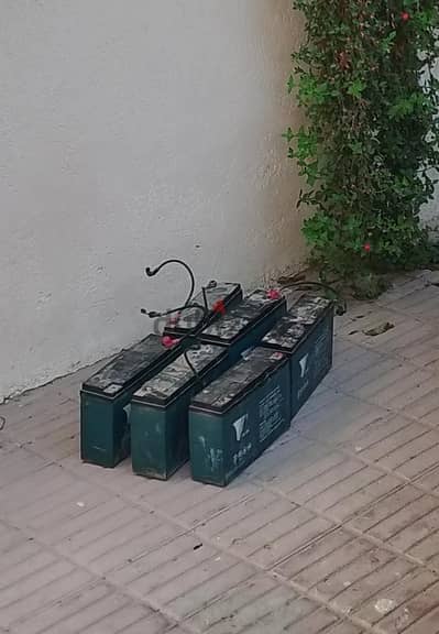 بطاريات ليد اسد