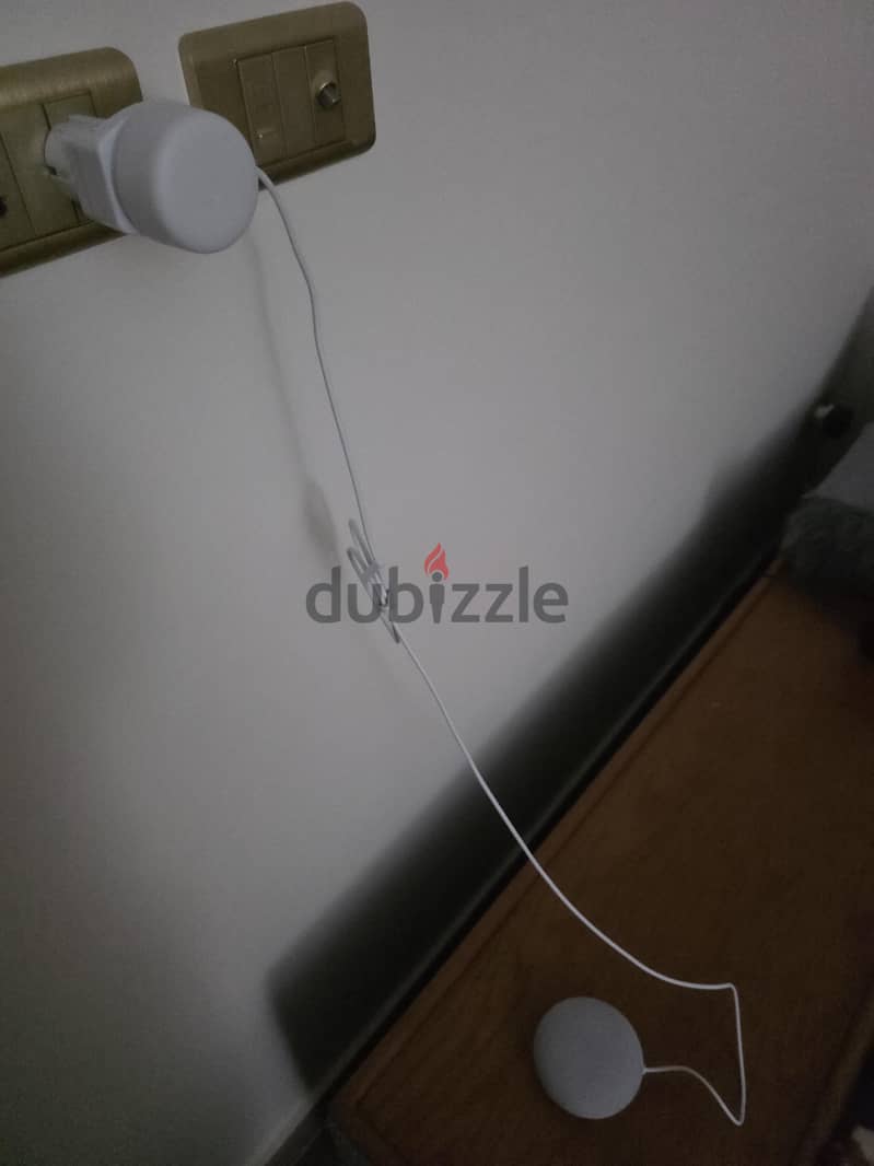 Google Home mini version 2 4