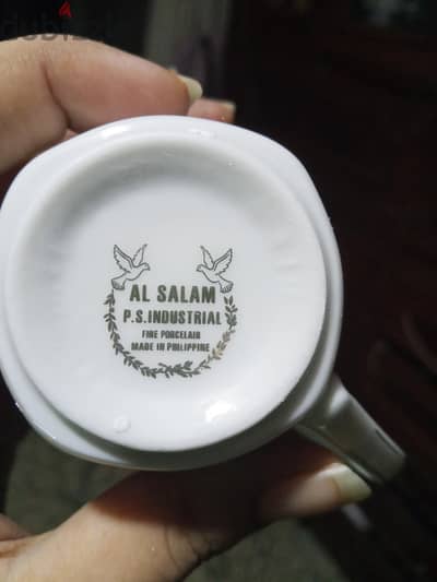طقم صيني