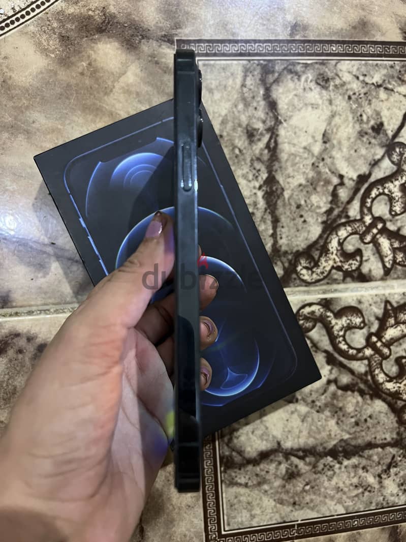 12 pro max 4