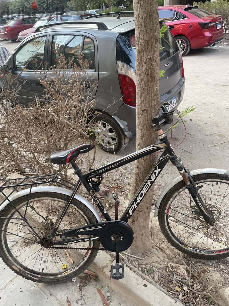 Phoniex bicycle 1