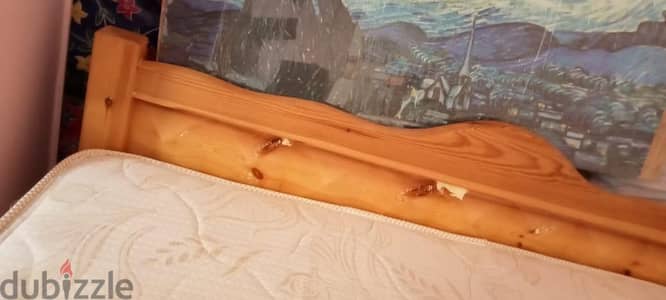 سرير خشب بناه ممتاز