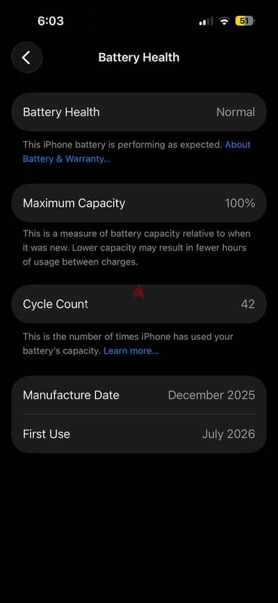 Apple - iPhone 15 battery 100%