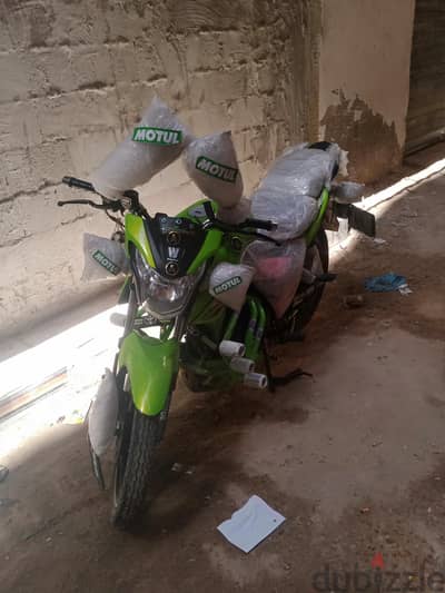هوجي فسفوري كسر زيورا
