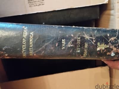 encyclopedia موسوعه