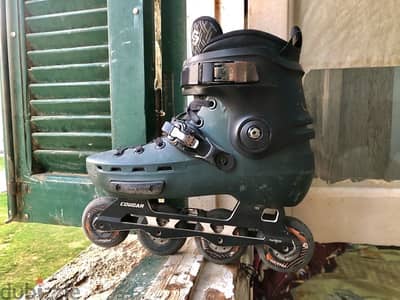 skate cougar 7001 prp هديه+