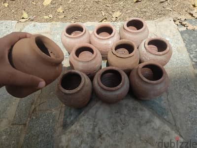 عشوش زيبرا فخار