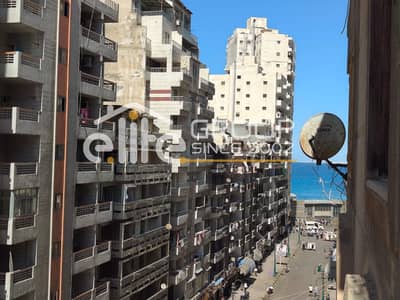 120 sqm Holiday Apartment – ​​Miami – Khaled Ibn Al-Walid